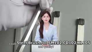 Steel Brush for SM102 CD102 XL105 XL106 Printing Machine 66.024.024 υψηλής ποιότητας